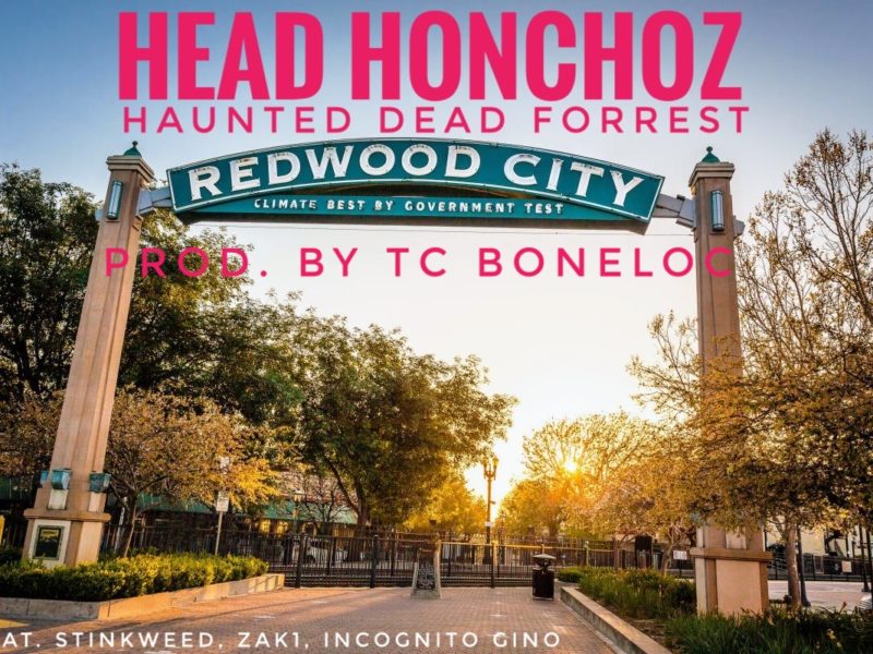 Head Honchoz – Haunted Dead Forrest feat MC Stinkweed, Zak1 & InCognito Gino